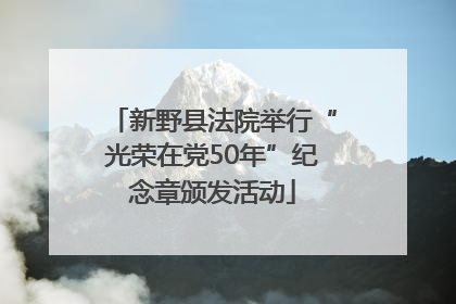 新野县法院举行“光荣在党50年”纪念章颁发活动