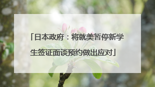 日本政府：将就美暂停新学生签证面谈预约做出应对
