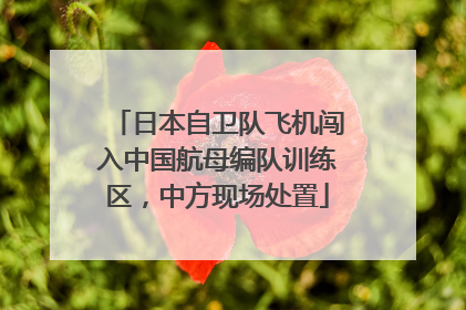 日本自卫队飞机闯入中国航母编队训练区，中方现场处置