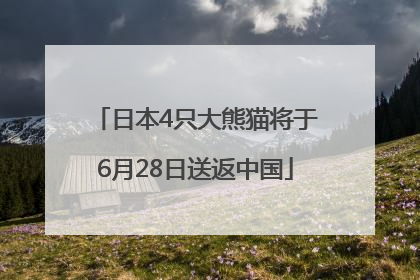 日本4只大熊猫将于6月28日送返中国