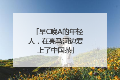 早C晚A的年轻人，在亮马河边爱上了中国茶