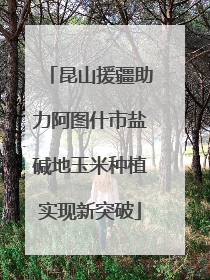 昆山援疆助力阿图什市盐碱地玉米种植实现新突破