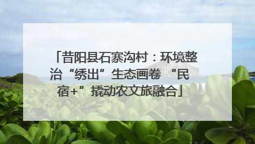 昔阳县石寨沟村：环境整治“绣出”生态画卷 “民宿+”撬动农文旅融合