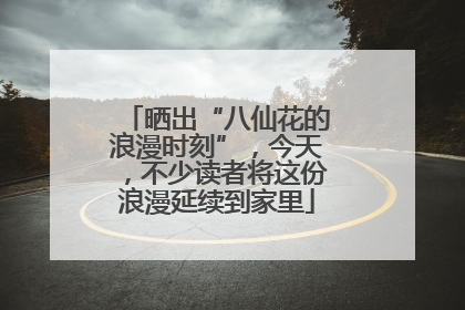 晒出“八仙花的浪漫时刻”，今天，不少读者将这份浪漫延续到家里