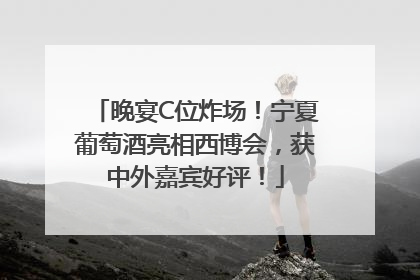 晚宴C位炸场！宁夏葡萄酒亮相西博会，获中外嘉宾好评！
