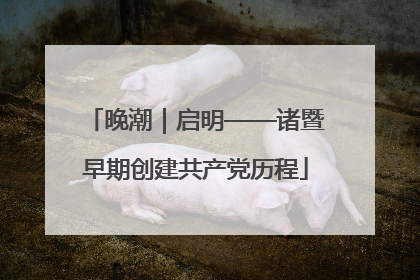 晚潮｜启明——诸暨早期创建共产党历程