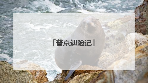 普京遇险记