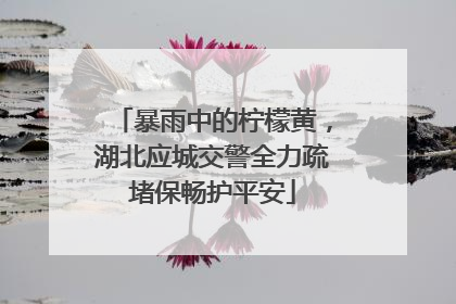 暴雨中的柠檬黄，湖北应城交警全力疏堵保畅护平安