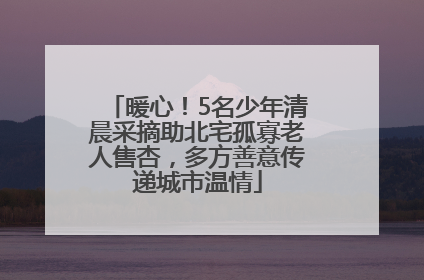 暖心！5名少年清晨采摘助北宅孤寡老人售杏，多方善意传递城市温情