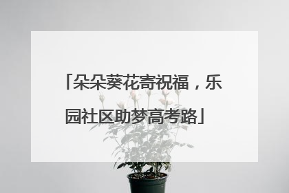 朵朵葵花寄祝福，乐园社区助梦高考路