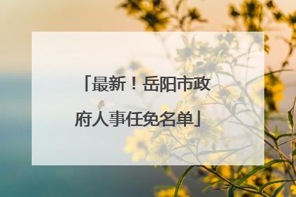 最新！岳阳市政府人事任免名单