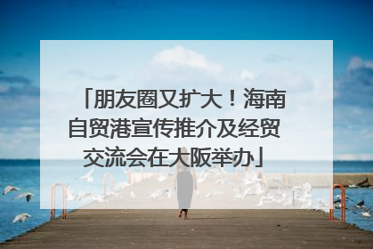 朋友圈又扩大！海南自贸港宣传推介及经贸交流会在大阪举办