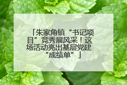 朱家角镇“书记项目”竞秀展风采！这场活动亮出基层党建“成绩单”