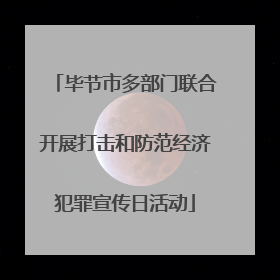 毕节市多部门联合开展打击和防范经济犯罪宣传日活动