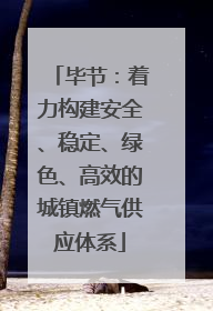 毕节：着力构建安全、稳定、绿色、高效的城镇燃气供应体系
