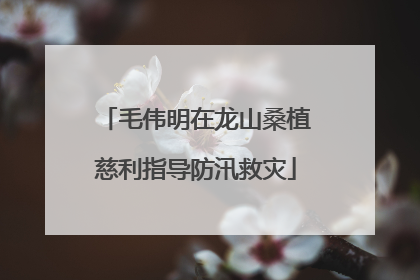 毛伟明在龙山桑植慈利指导防汛救灾