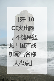 歼-10CE火出圈，不愧是猛龙！国产战机霸气名称大盘点