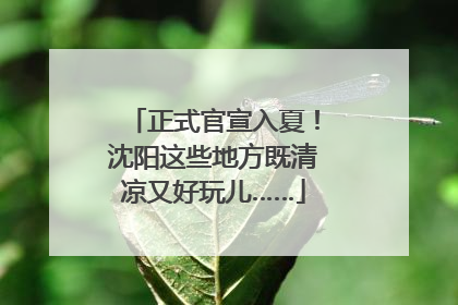 正式官宣入夏！沈阳这些地方既清凉又好玩儿……