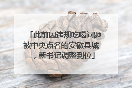 此前因违规吃喝问题被中央点名的安徽县城，新书记调整到位