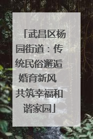 武昌区杨园街道：传统民俗邂逅婚育新风 共筑幸福和谐家园