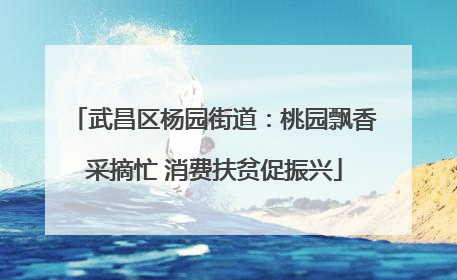 武昌区杨园街道：桃园飘香采摘忙 消费扶贫促振兴