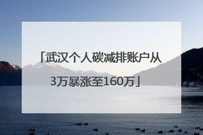 武汉个人碳减排账户从3万暴涨至160万