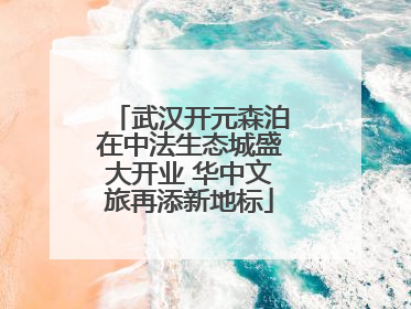 武汉开元森泊在中法生态城盛大开业 华中文旅再添新地标