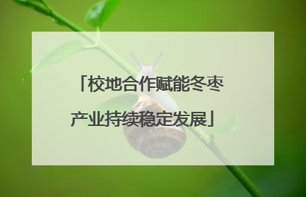 校地合作赋能冬枣产业持续稳定发展