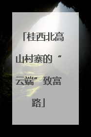 桂西北高山村寨的“云端”致富路