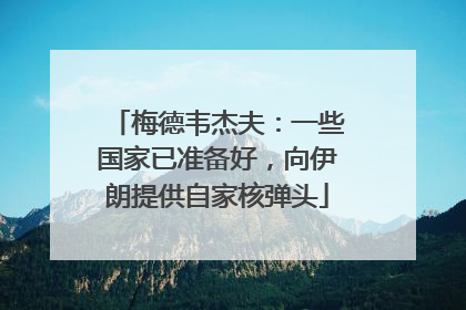 梅德韦杰夫：一些国家已准备好，向伊朗提供自家核弹头