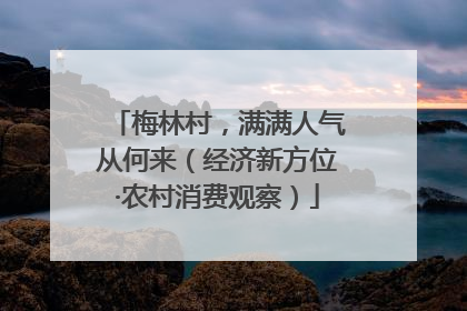 梅林村，满满人气从何来（经济新方位·农村消费观察）