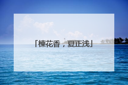 楝花香，夏正浅