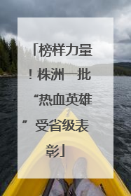 榜样力量！株洲一批“热血英雄”受省级表彰