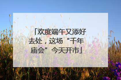欢度端午又添好去处，这场“千年庙会”今天开市