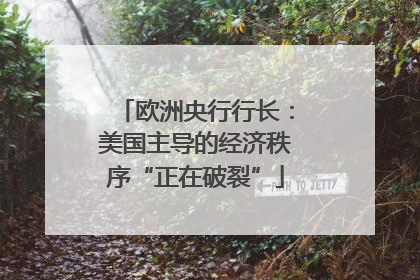 欧洲央行行长：美国主导的经济秩序“正在破裂”