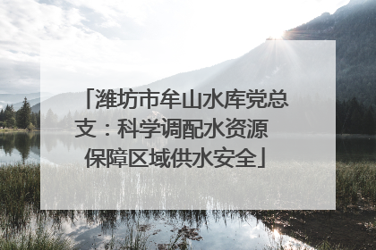 潍坊市牟山水库党总支：科学调配水资源 保障区域供水安全