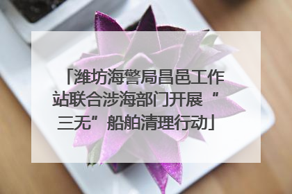 潍坊海警局昌邑工作站联合涉海部门开展“三无”船舶清理行动