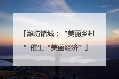 潍坊诸城：“美丽乡村”催生“美丽经济”