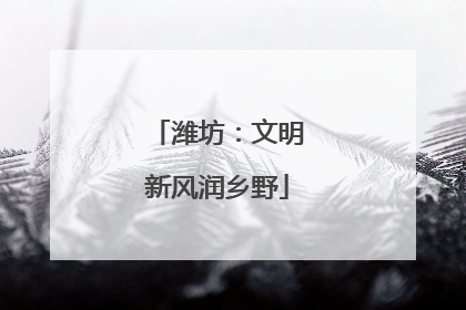 潍坊：文明新风润乡野