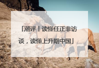 潮评丨读懂任正非访谈，读懂上升期中国