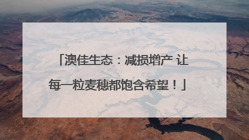 澳佳生态：减损增产 让每一粒麦穗都饱含希望！