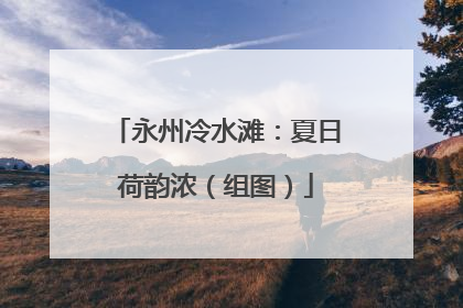 永州冷水滩：夏日荷韵浓（组图）