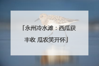 永州冷水滩：西瓜获丰收 瓜农笑开怀