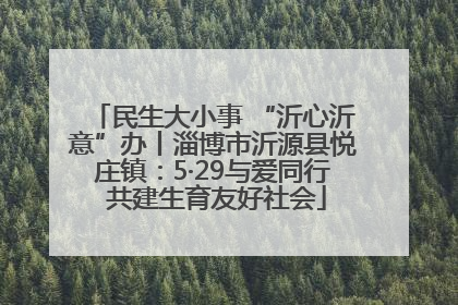 民生大小事 “沂心沂意”办丨淄博市沂源县悦庄镇：5·29与爱同行 共建生育友好社会