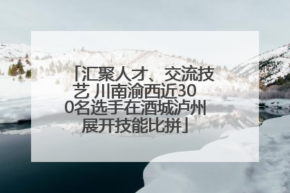 汇聚人才、交流技艺 川南渝西近300名选手在酒城泸州展开技能比拼