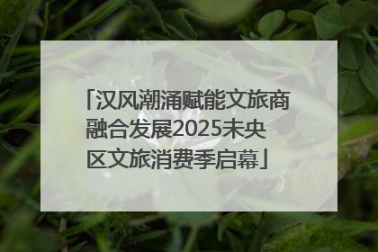 汉风潮涌赋能文旅商融合发展2025未央区文旅消费季启幕