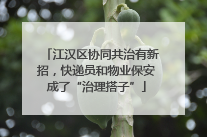 江汉区协同共治有新招，快递员和物业保安成了“治理搭子”
