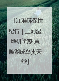江淮环保世纪行｜三河湿地研学热 黄陂湖成鸟类天堂