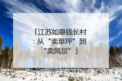 江苏如皋钱长村：从“卖草坪”到“卖风景”