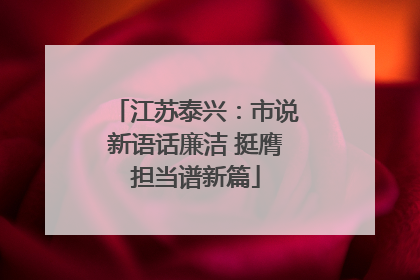江苏泰兴：市说新语话廉洁 挺膺担当谱新篇